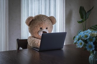 Teddy bear working on the computer in the living room