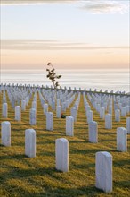 Fort Rosecrans National Cemetery with ocean view at San Diego