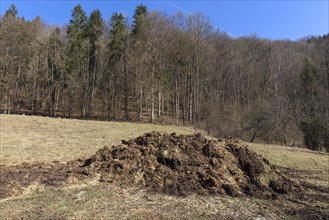 Dung heap in a meadow