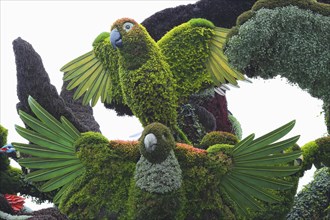 Plant sculpture of birds