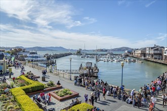 Many tourists visiting pier 39