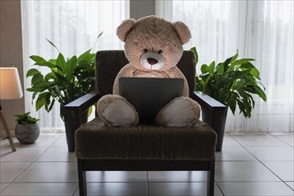 Teddy bear working on the computer in the living room