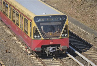 Ringbahn S 41