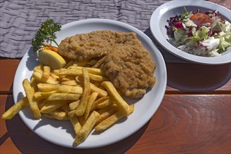 Wiener Schnitzel with french fries and salad served in a garden restaurant
