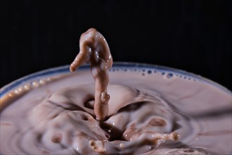 Drop photography with milk and cocoa