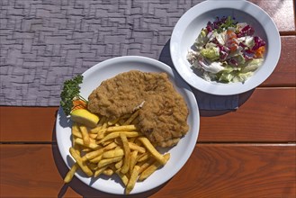 Wiener Schnitzel with french fries and salad served in a garden restaurant
