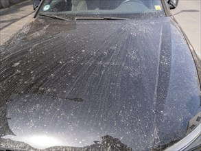 Sahara dust after a rain on the bonnet of a car