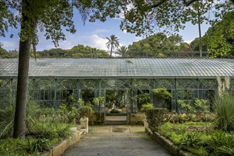 Glass House Conservatory