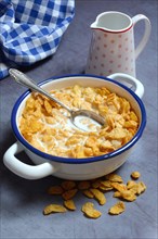 Cornflakes mit Milch in Schale