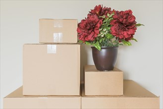 Variety of packed moving boxes and potted plant in empty room against wall