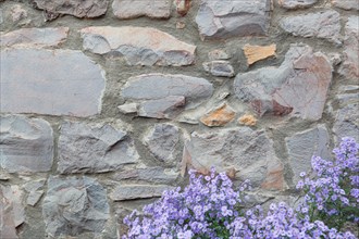 Old stone wall with flowers background texture