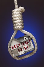 House tied up and hanging in hangman's noose on blue background