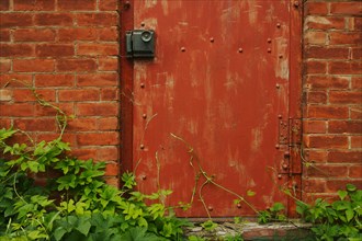 Abstract vintage red door