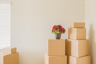 Variety of packed moving boxes and potted plant in empty room with room for text