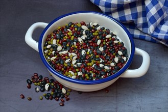 Assorted dried beans in bowl