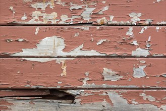 Weathered wood panel wall with peeling paint textured background