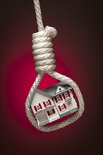 House tied up and hanging in hangman's noose on red spot lit background