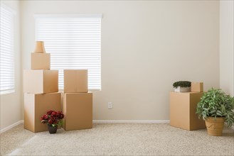 Variety of packed moving boxes and potted plants in empty room with room for text