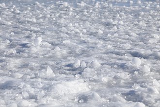 Ice structures on a frozen surface