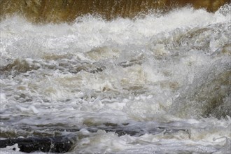 Strong current in a wild river