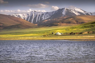 Summer landscape in the BayanUlgii province of western Mongolia 6