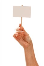 Woman holding blank white sign isolated on a white background