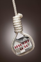 House tied up and hanging in hangman's noose on spot lit background