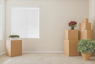 Variety of packed moving boxes and potted plants in empty room with room for text