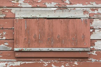 Weathered wood panel wall with peeling paint textured background