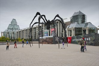 Spinnenskulptur vor der National Gallery of Canada