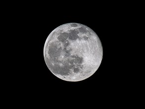 Vollmond aus der Sicht der Noerdlichen Halbkugel