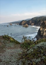 Coastal landscape with rugged rocks