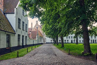 Old houses and garden of Begijnhof Beguinage in Bruges town