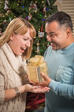 Happy young mixed-race couple with present near christmas tree