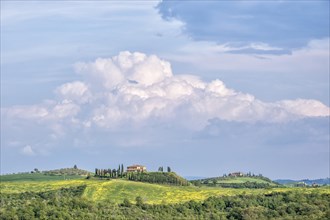 Typical country estate in hilly landscape with cypresses