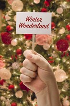 Hand holding winter wonderland card in front of decorated christmas tree
