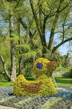 Flower sculpture duck