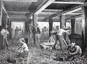 Workers in the silver mines of Nevada in 1880