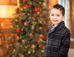 Handsome mixed-race caucasian and hispanic boy in front of christmas tree