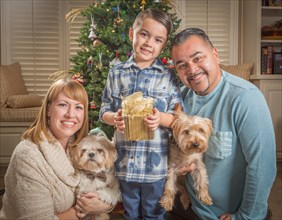 Happy young mixed-race family and puppies in front of christmas tree