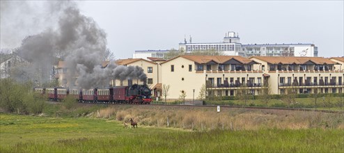 Molli steam train