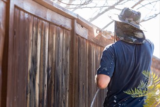 Professional painter spraying house yard fence with wood stain