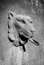 Head of lion on a fountain