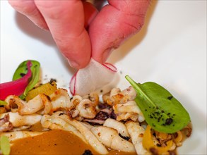 Chef hand close up plating pan cooked flambe atlantic squid with potato rich sauce cream reduction
