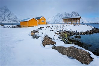 Traditional yellow rorbu house in drying flakes for stockfish cod fish in norwegian fjord in winter Sakrisoy fishing village