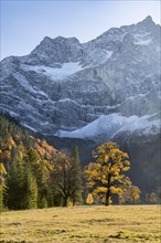 Spitzkarspitze and large maple ground in autumn
