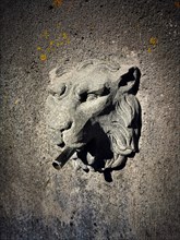 Head of lion on a fountain