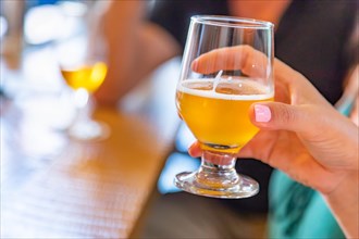 Female hand holding glass of micro brew beer at bar