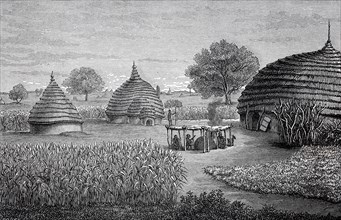 Farm of the indigenous people of the Dinka tribe