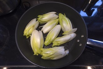 Halved fresh chicory in the pan